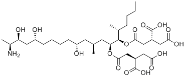 Fumonisin B1 116355-83-0